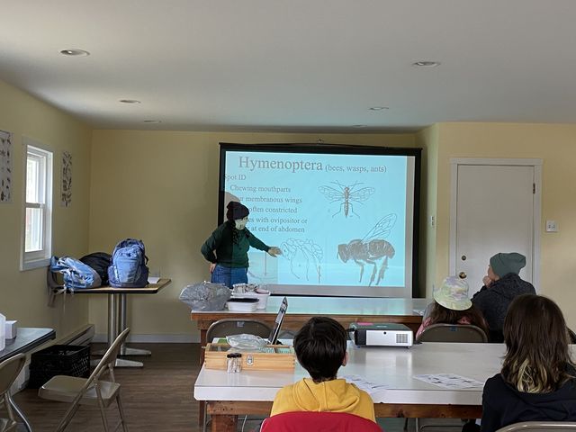 Denise Manole, 24, is teaching a weekend workshop about identifying insects during a Sunday in April at the School of Conservation.